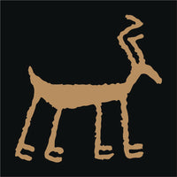 Pronghorn