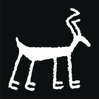 Pronghorn