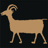 Bighorn Sheep 22
