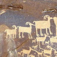 Bighorn Family
