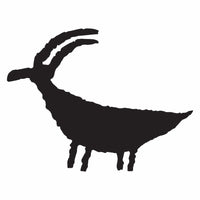Boat-Body Sheep