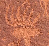 Bear Claw
