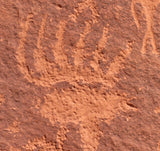 Bear Claw